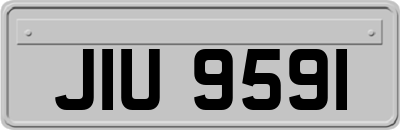 JIU9591