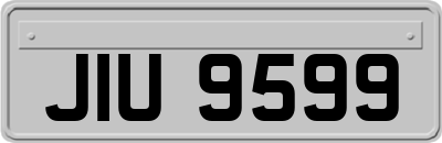 JIU9599