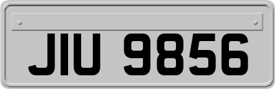 JIU9856