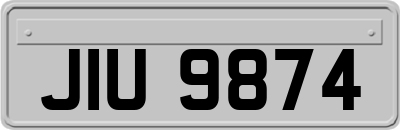 JIU9874