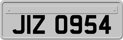 JIZ0954