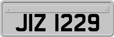 JIZ1229