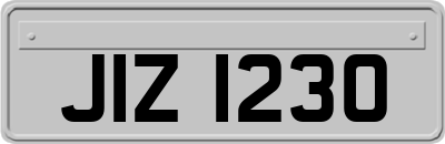 JIZ1230
