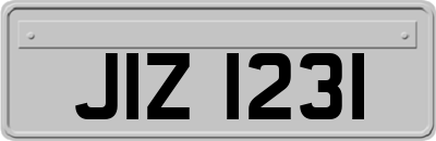 JIZ1231
