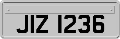 JIZ1236