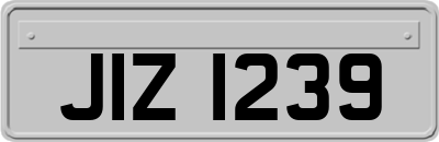 JIZ1239
