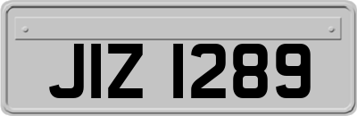 JIZ1289