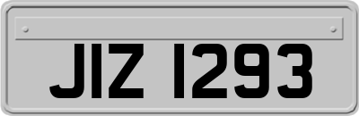 JIZ1293