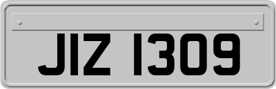 JIZ1309