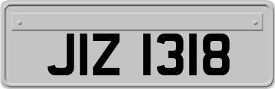 JIZ1318