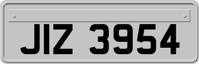 JIZ3954