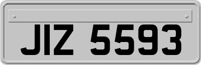 JIZ5593