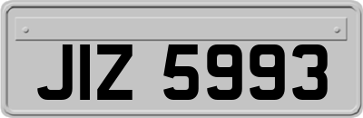 JIZ5993
