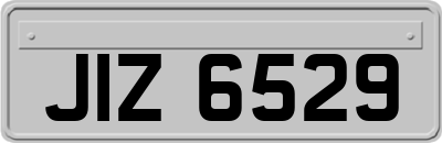 JIZ6529