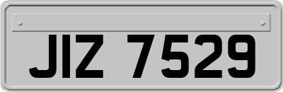 JIZ7529