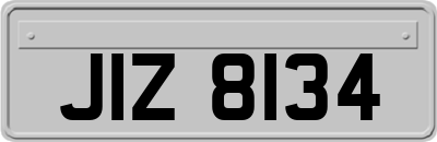 JIZ8134