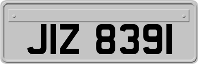JIZ8391