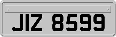 JIZ8599