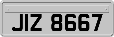JIZ8667