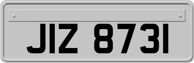 JIZ8731