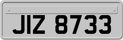 JIZ8733
