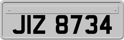 JIZ8734