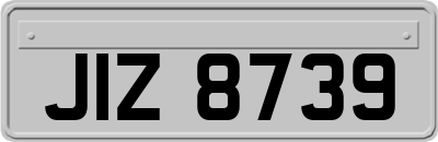 JIZ8739