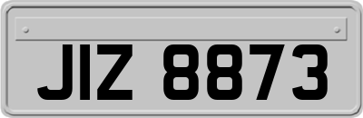 JIZ8873