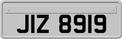 JIZ8919