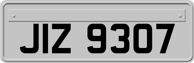 JIZ9307