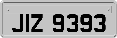 JIZ9393
