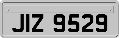 JIZ9529