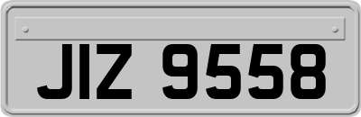 JIZ9558