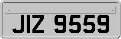 JIZ9559