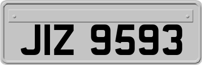 JIZ9593