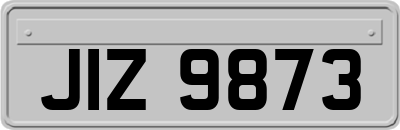 JIZ9873