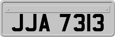 JJA7313