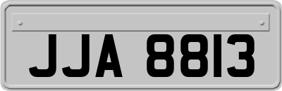 JJA8813
