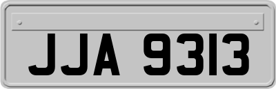 JJA9313