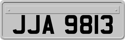 JJA9813
