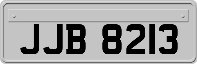 JJB8213