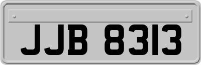 JJB8313