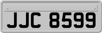 JJC8599