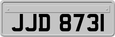 JJD8731