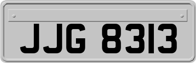 JJG8313