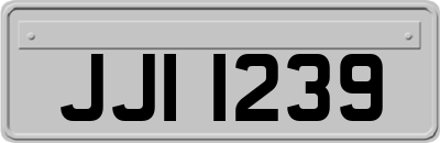 JJI1239