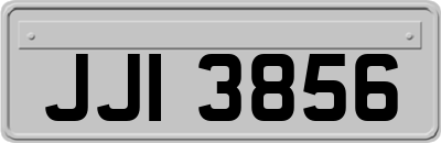 JJI3856