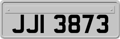 JJI3873