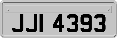 JJI4393