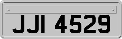 JJI4529